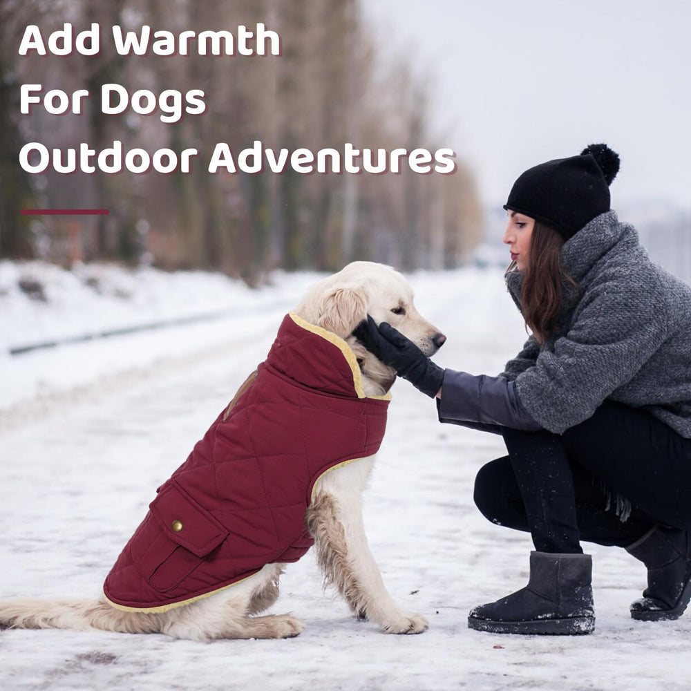 Queenmore dog winter coat size chart helps find the right fit