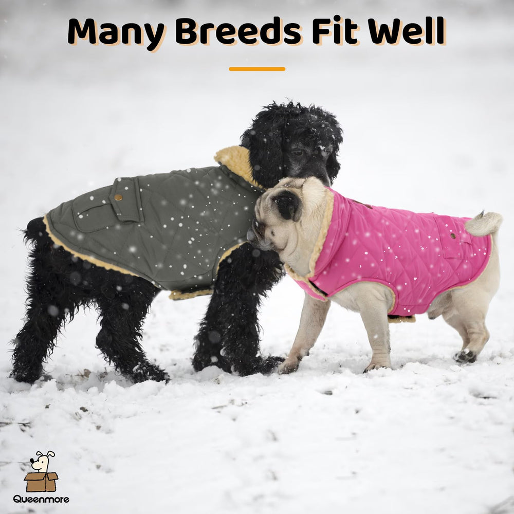 Queenmore dog winter coat size chart helps find the right fit.