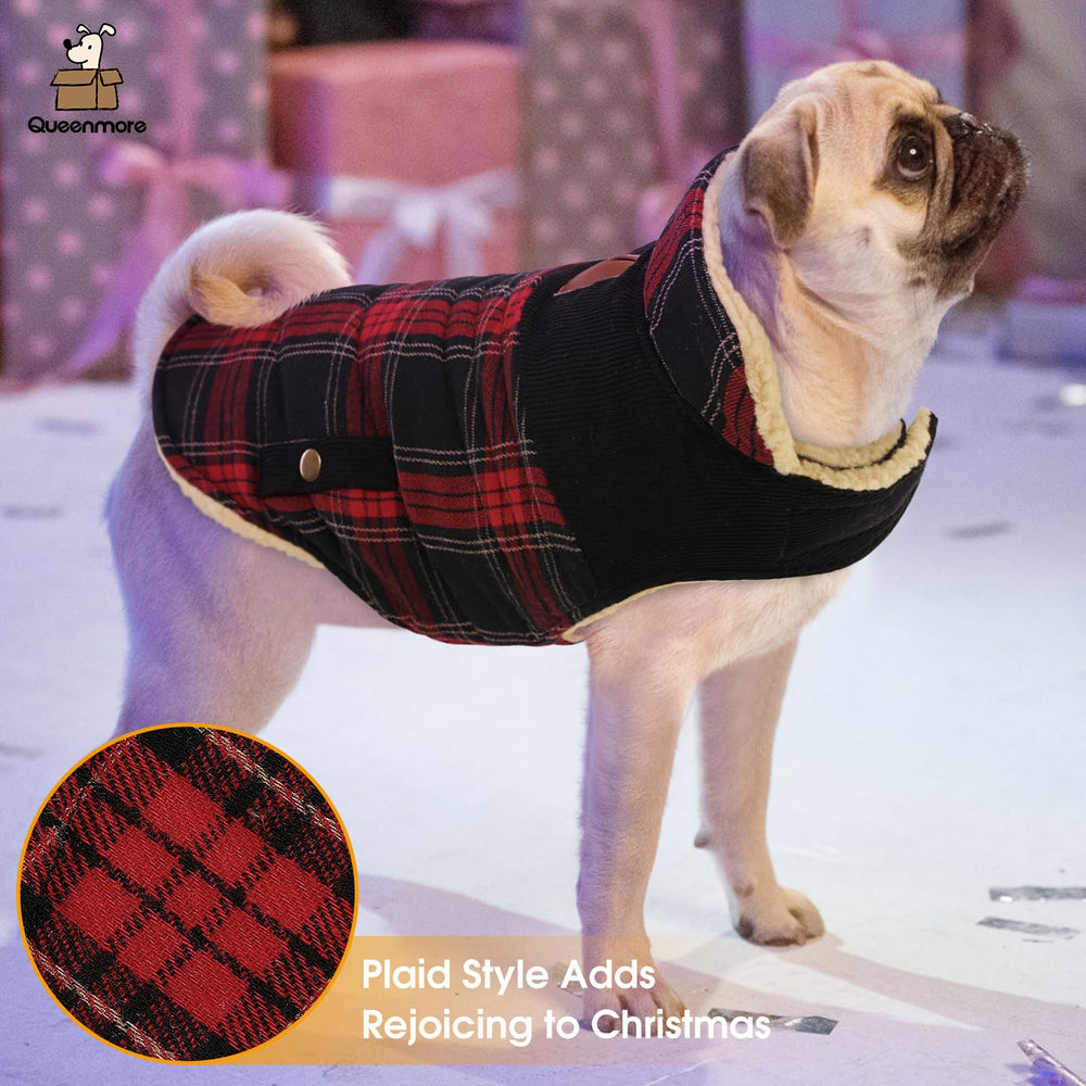 Queenmore dog winter coat available in small to extra-large sizes