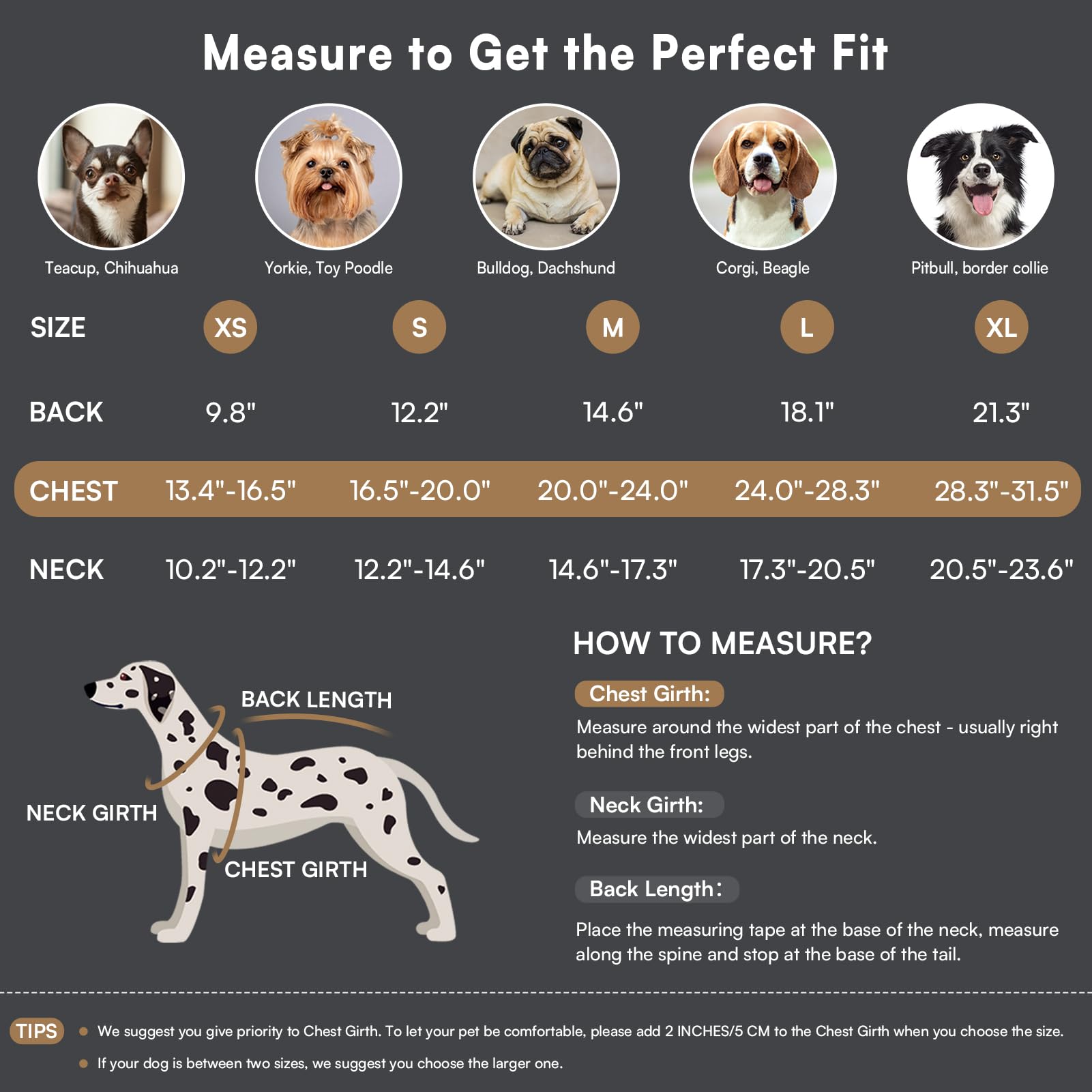 Queenmore windproof outer helps protect your dog during chilly days.