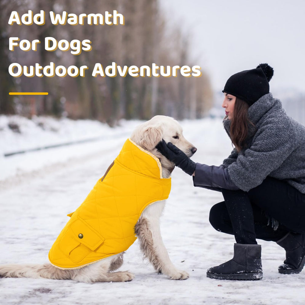 Queenmore dog winter coat yellow pocket storage for treats and bags.