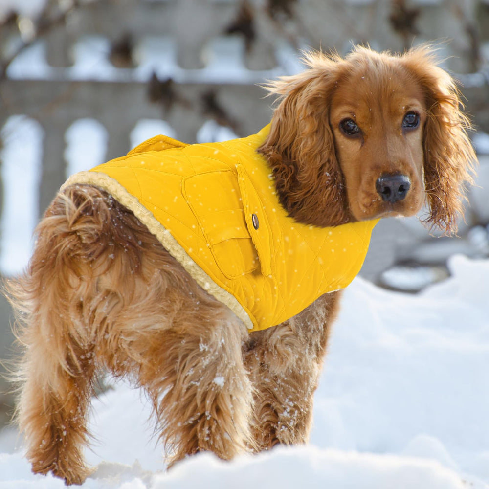 Queenmore dog winter coat yellow size chart helps pick the right fit.