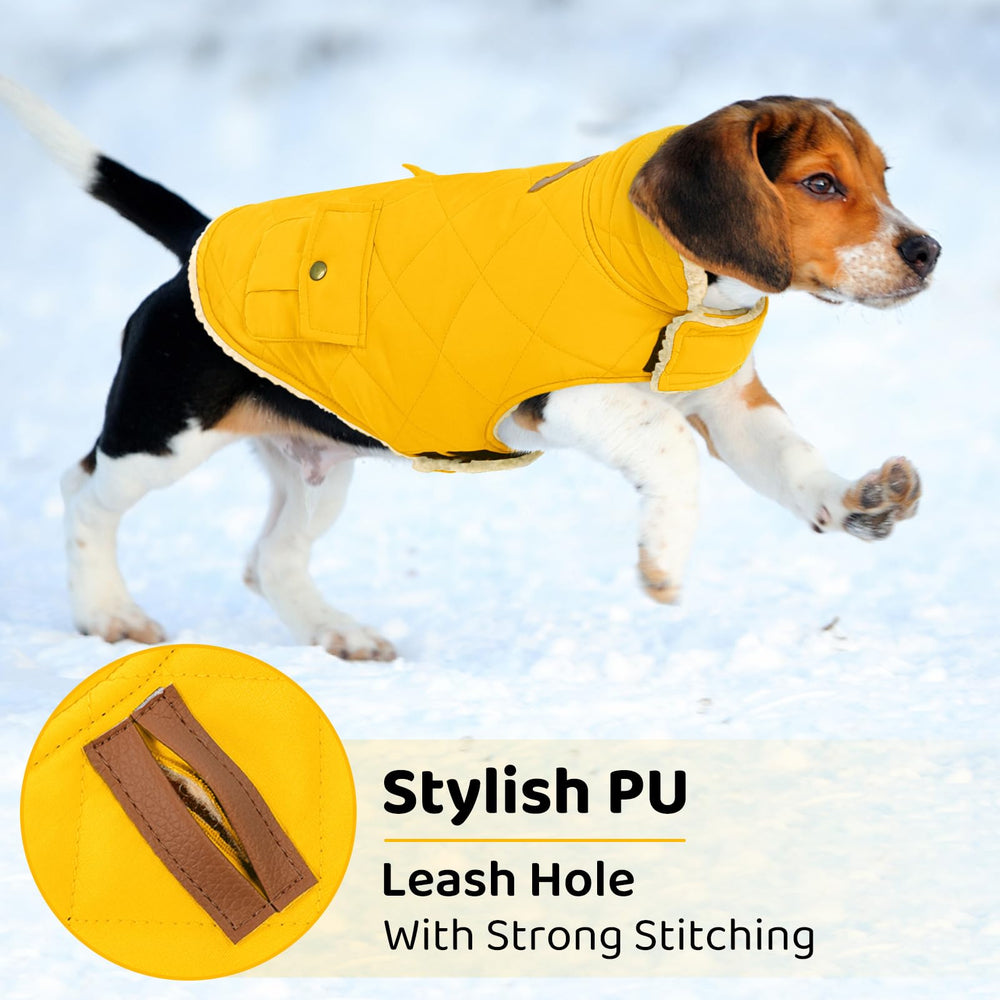 Queenmore dog winter coat yellow windproof fabric withstands chilly gusts on outings.