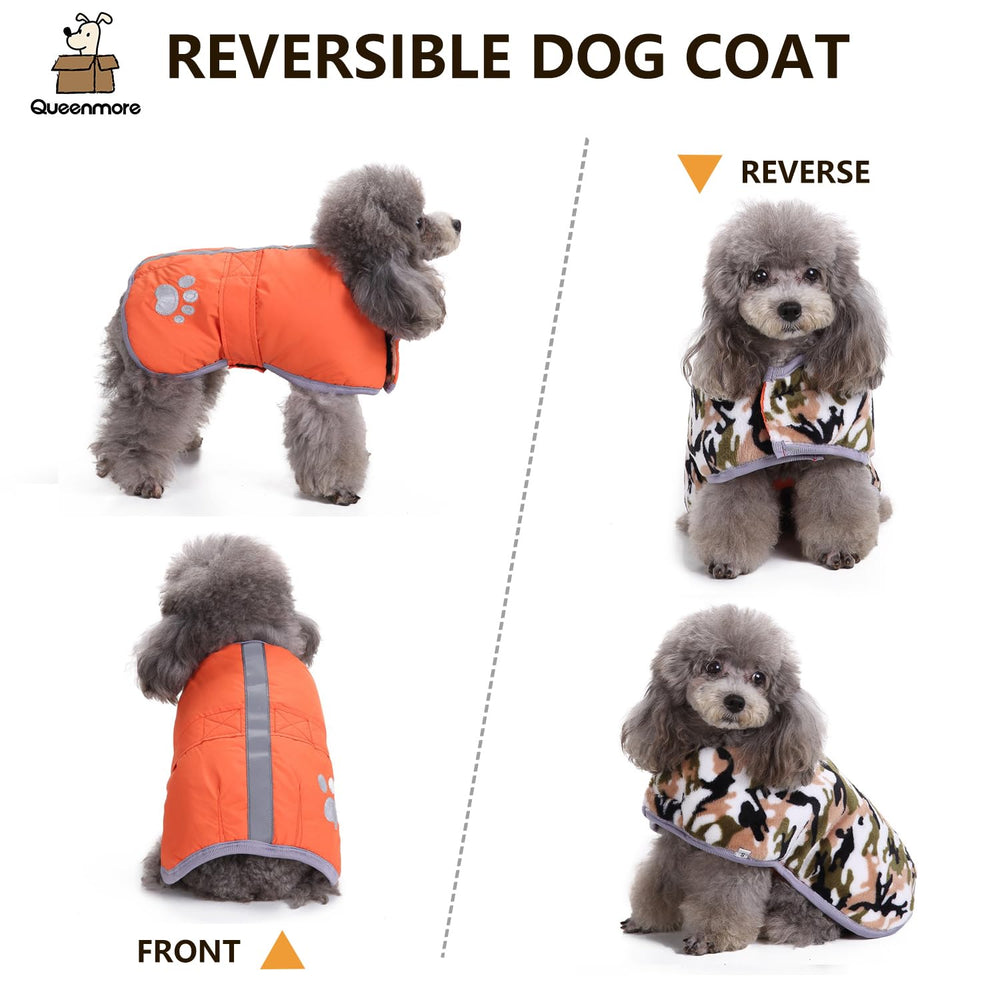 Queenmore eight-size range XS to XL ensures a proper fit for most small to large dogs.