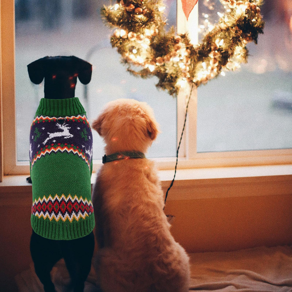 Queenmore elastic-fit dog sweater suitable for small breeds during holidays