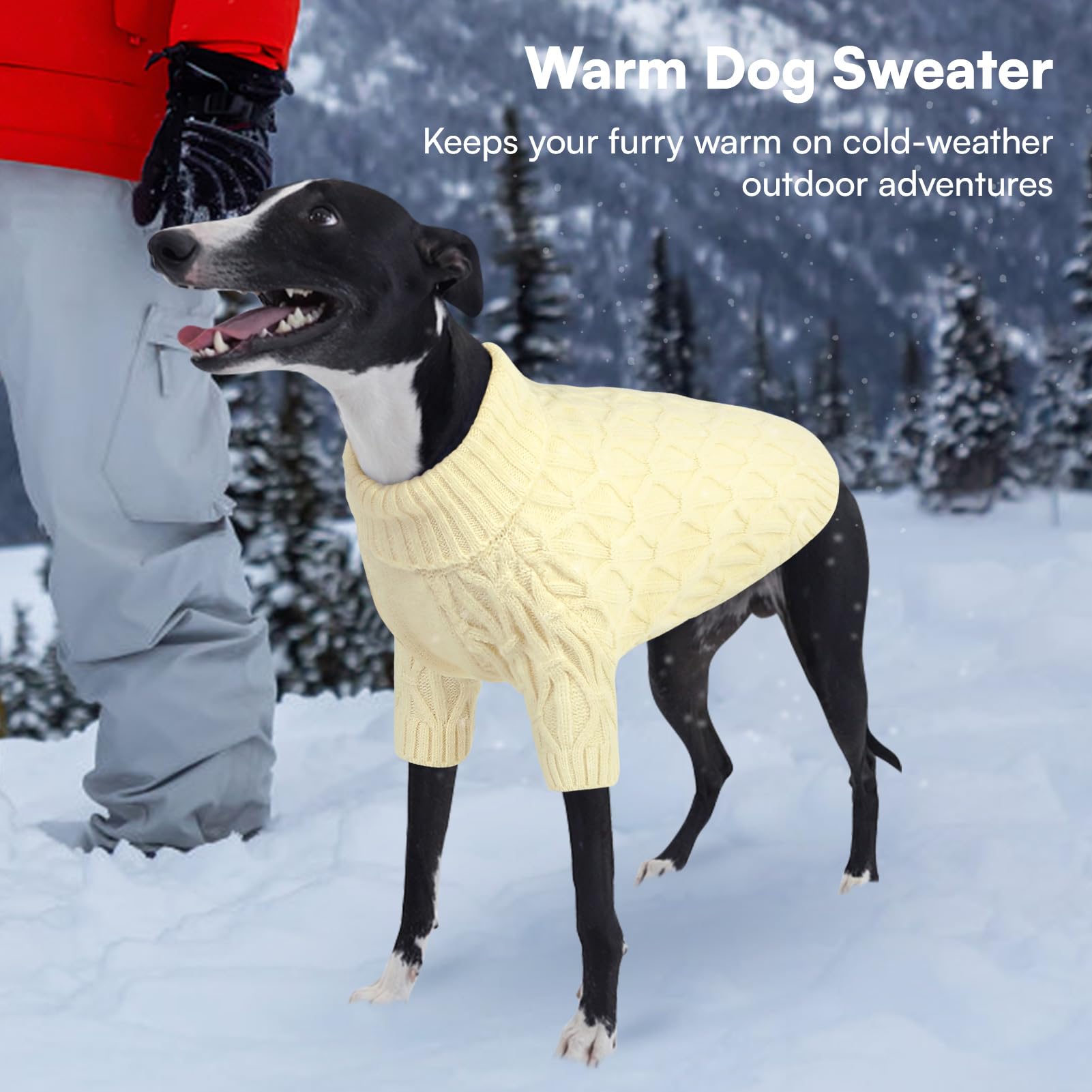 Queenmore knitted XS dog sweater lightweight breathable fabric ideal for indoor or short outdoor walks.