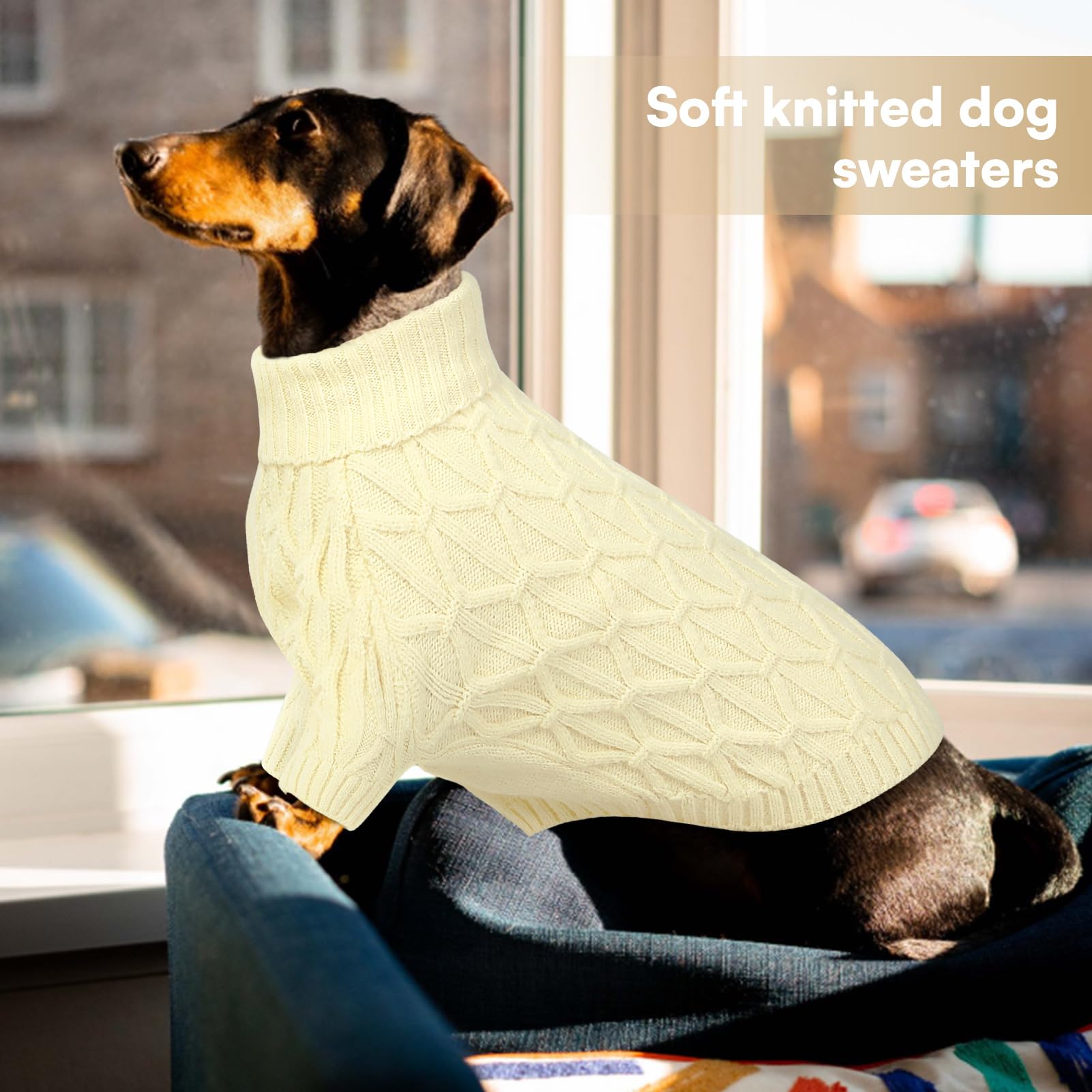 Queenmore knitted XS dog sweater size range XS to 2XL for versatile fit.