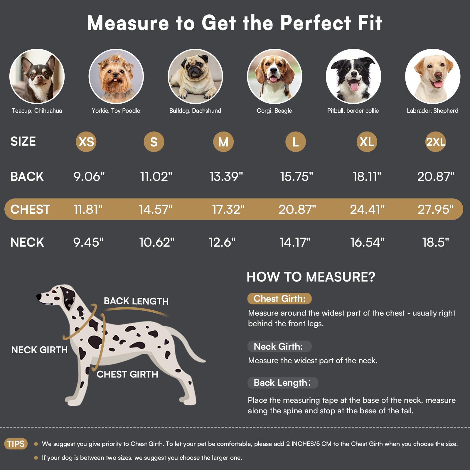 Queenmore knitted XS dog sweater two-leg design ensures mobility and snug warmth.