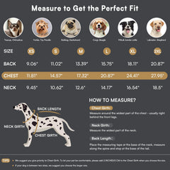 Queenmore knitted XS dog sweater two-leg design ensures mobility and snug warmth.
