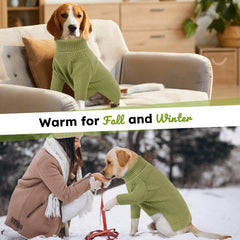 Queenmore Large Dog Sweater pull-on closure demonstrates easy dressing for quick outings.