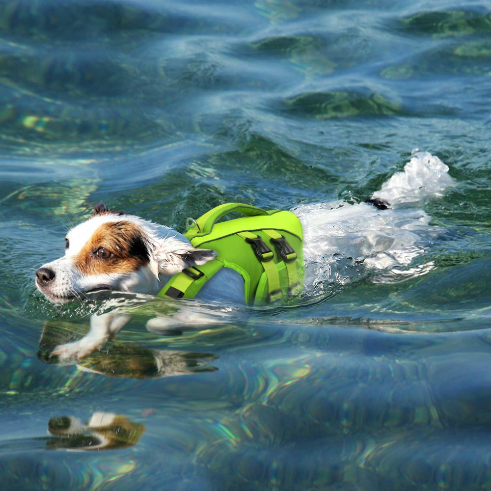 Queenmore life-jacket-measurement-size-chart helps pick the right fit