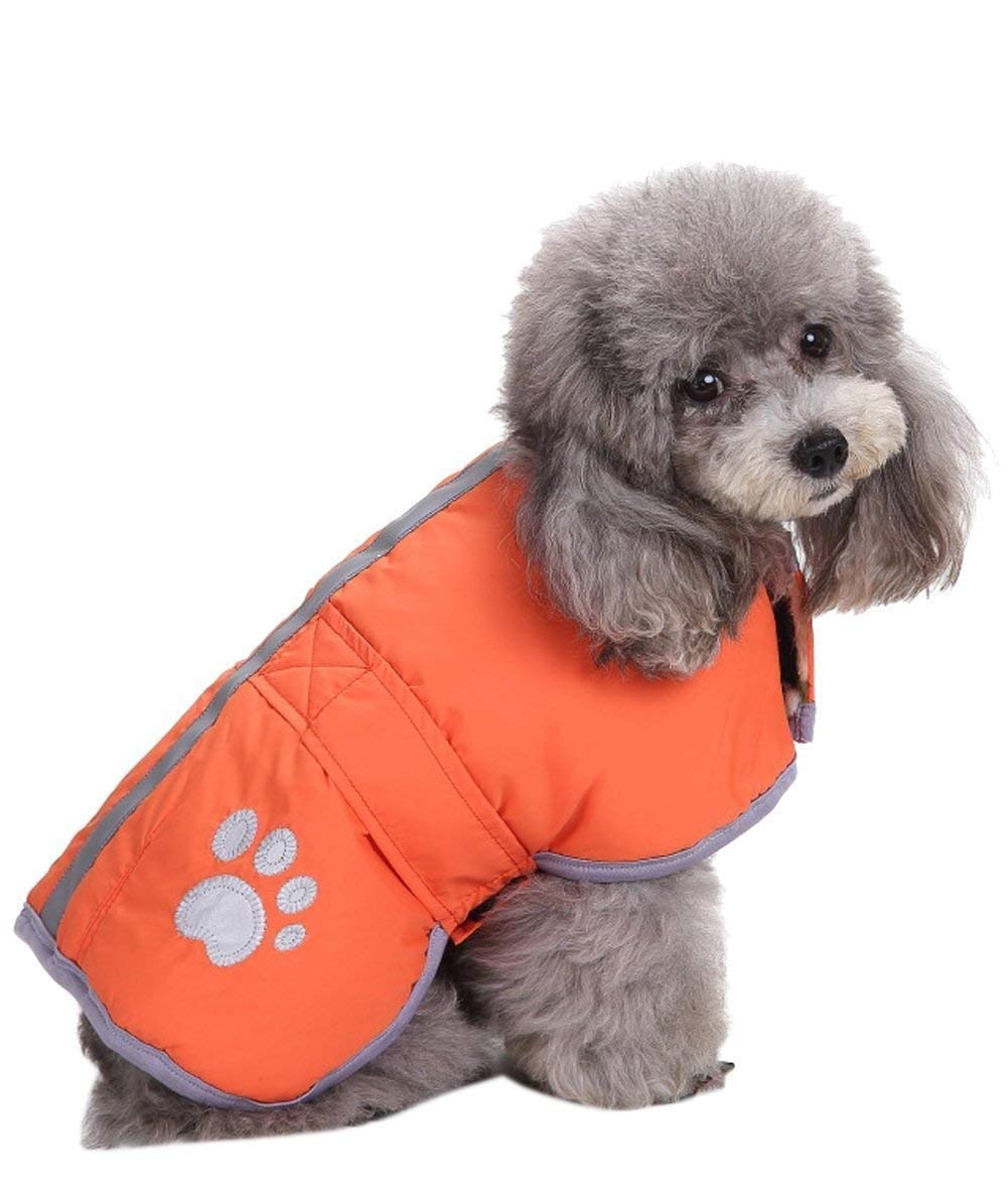 Queenmore loft reversible winter fleece dog vest shows dual-color warmth for comfort.
