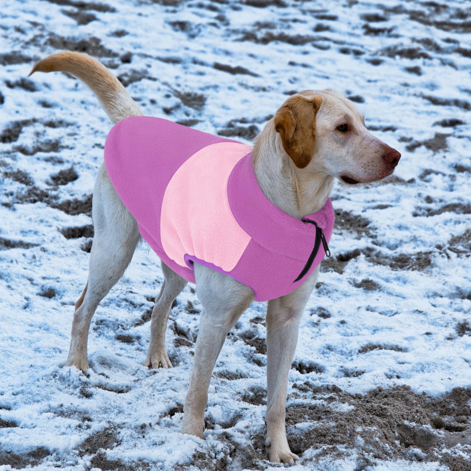 Queenmore machine-washable fleece dog sweater for easy cleanup