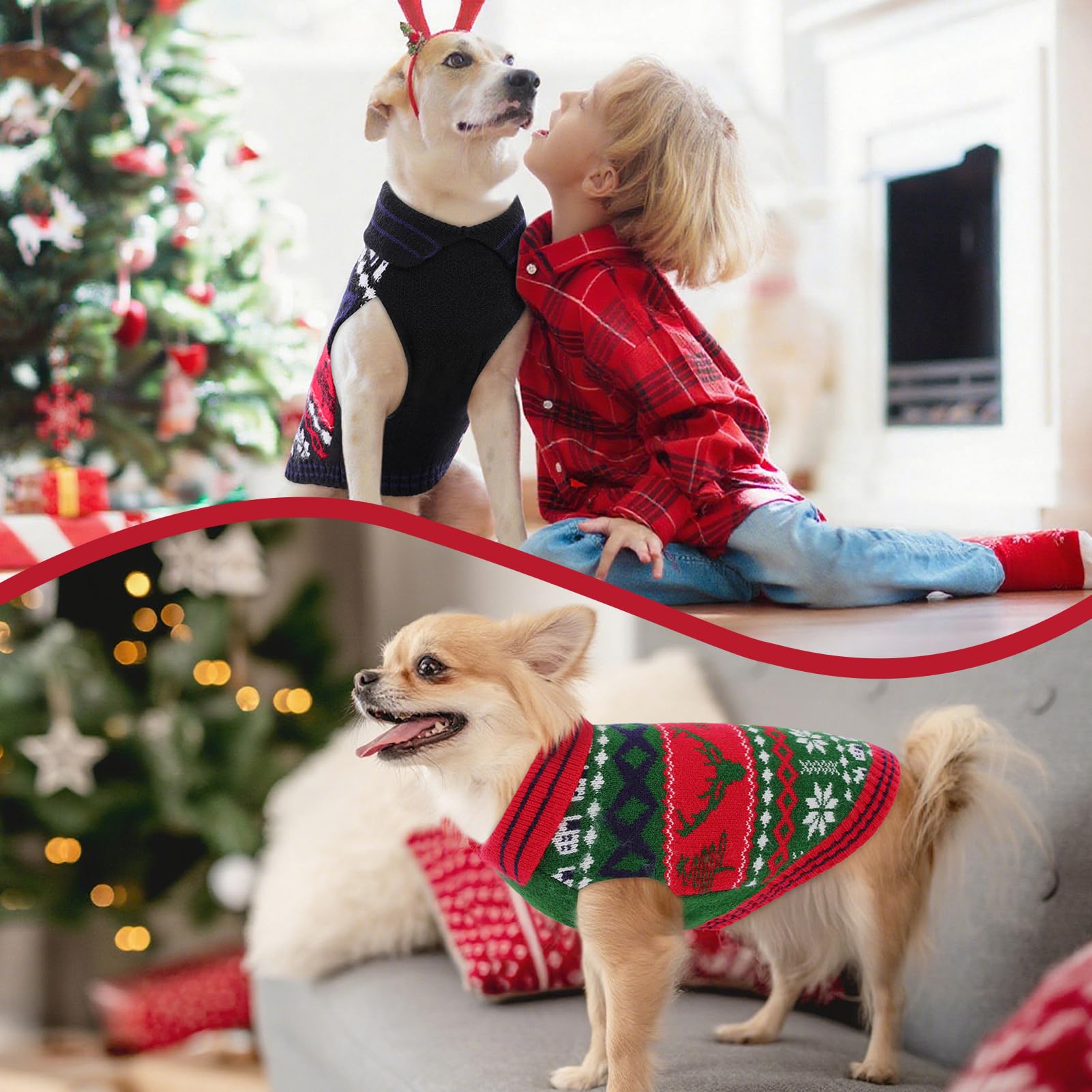 Queenmore pet clothes easy on-off design for quick dressing and walks.
