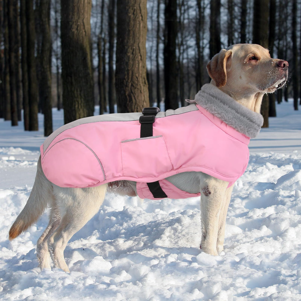 Queenmore pink dog winter jacket combines style with weather protection.