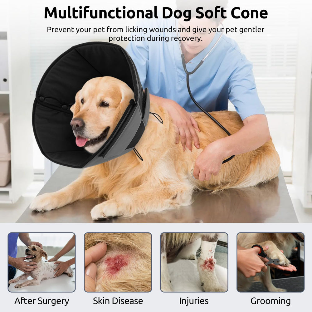 Queenmore post-surgery dog cone protects wounds with soft design.