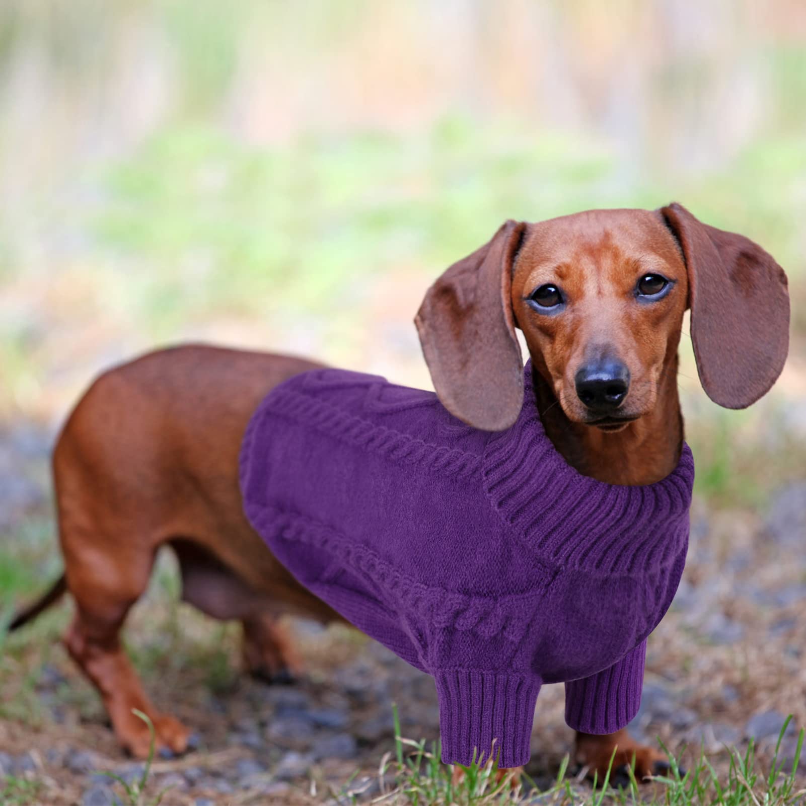 Queenmore pullover sweater color variation purple highlights stylish option for chilly days