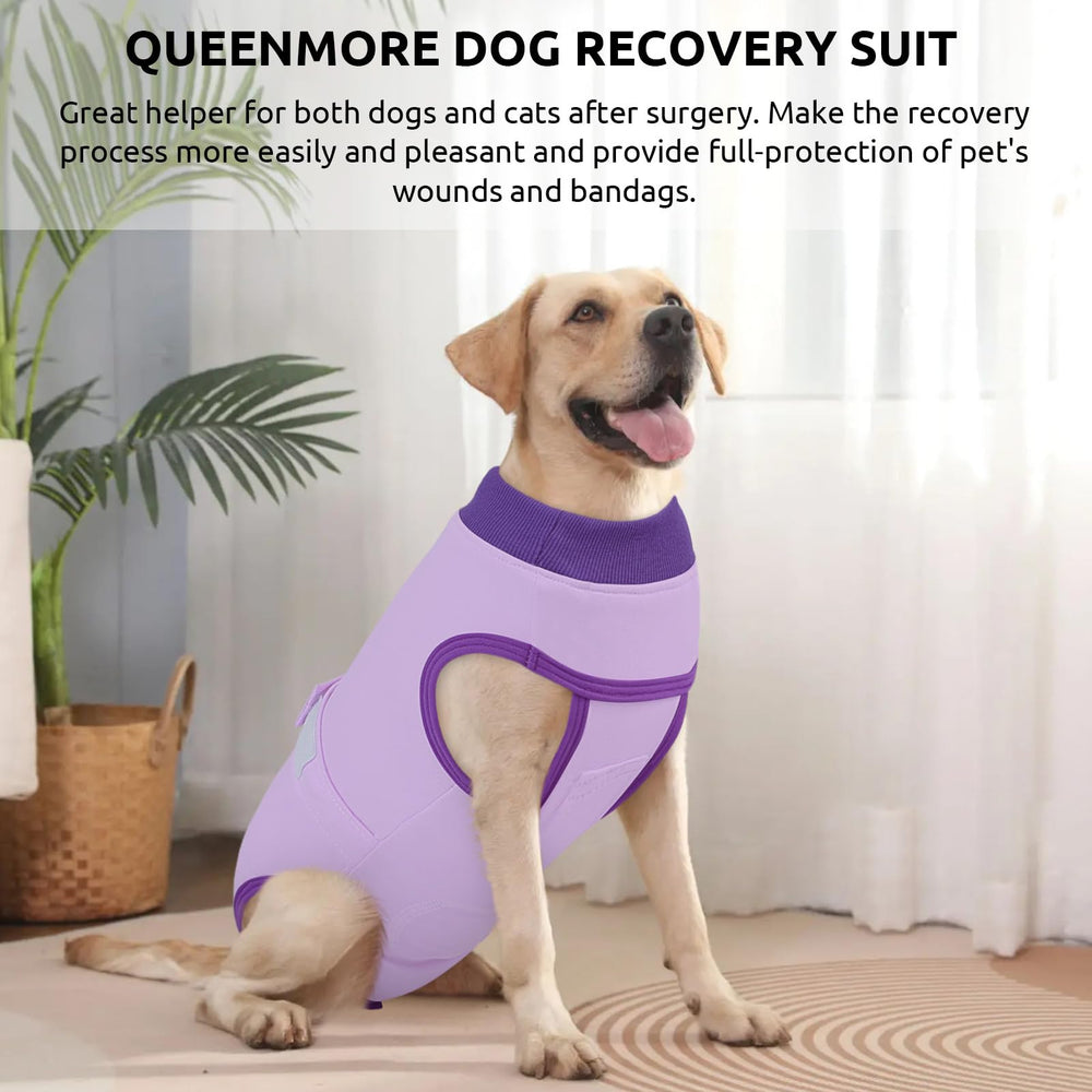 Queenmore recovery suit serves as comfortable daily wear during recovery.