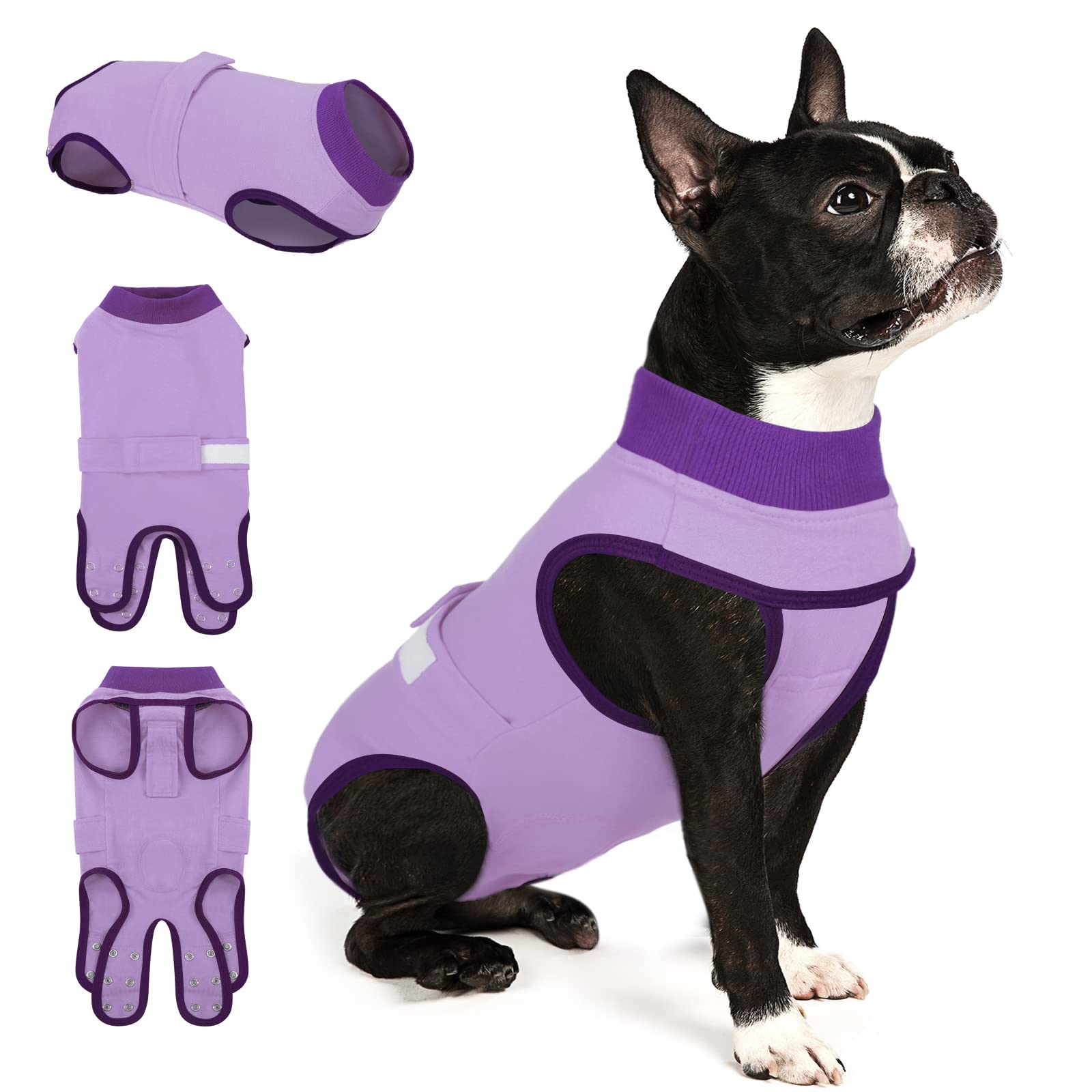 Queenmore recovery suit dog full body wrap protects wounds and supports healing.