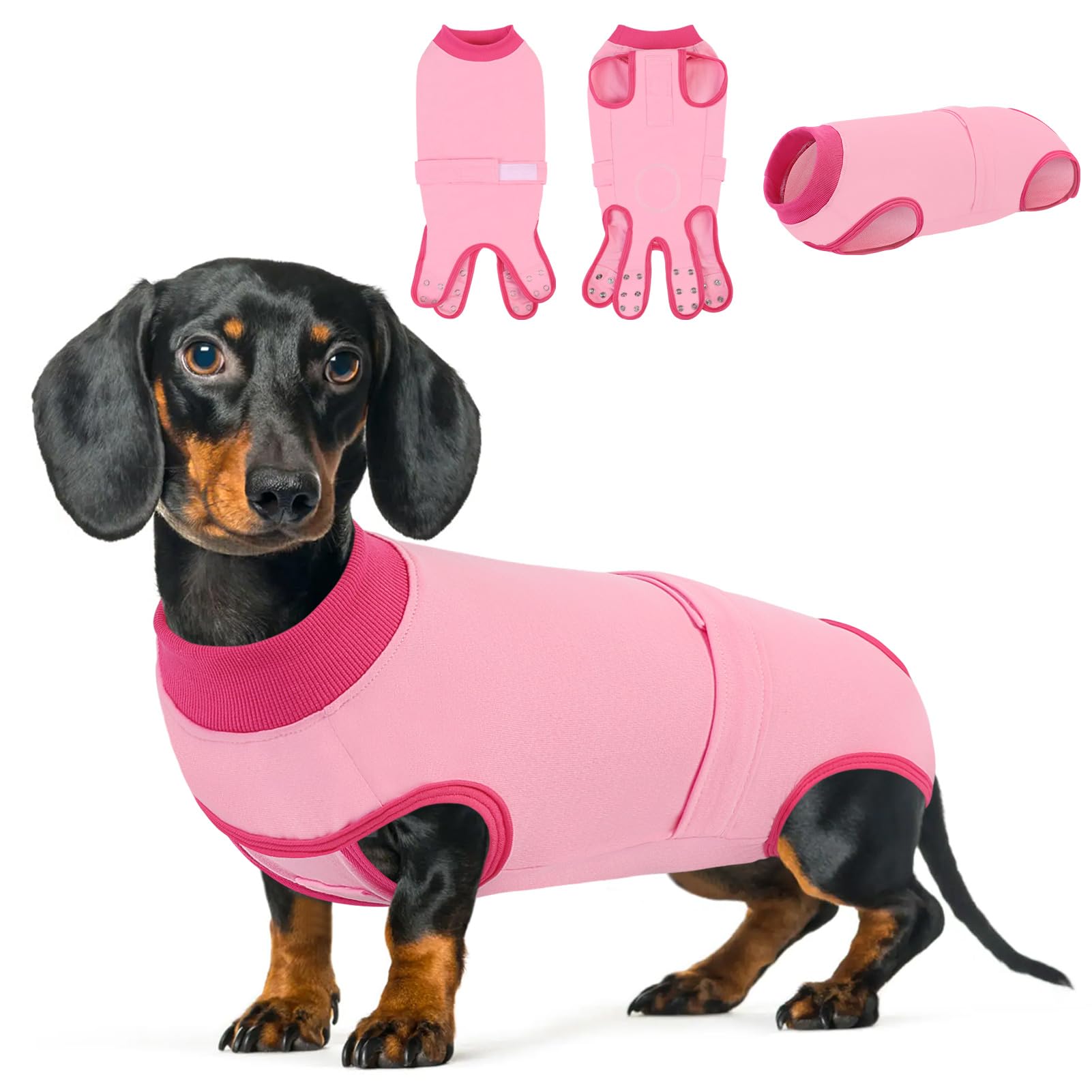 Queenmore recovery suit for dogs shows chest coverage protecting wounds during recovery