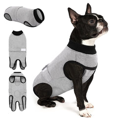 Queenmore recovery-suit-dogs-xxl-chest-fit demonstrates snug, full-body protection for wounds.
