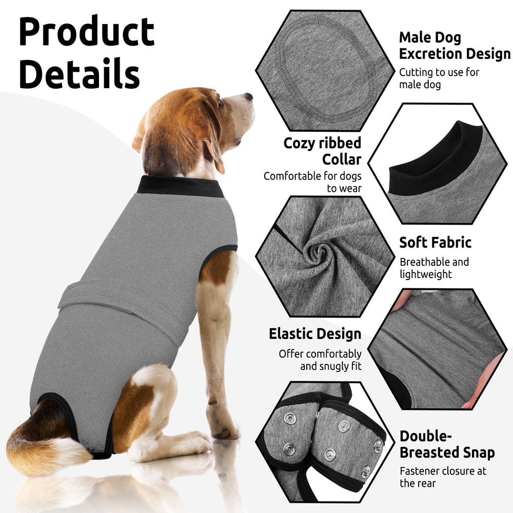 Queenmore recovery-suit-e-collar-alternative illustrates comfortable full coverage compared to traditional cones.
