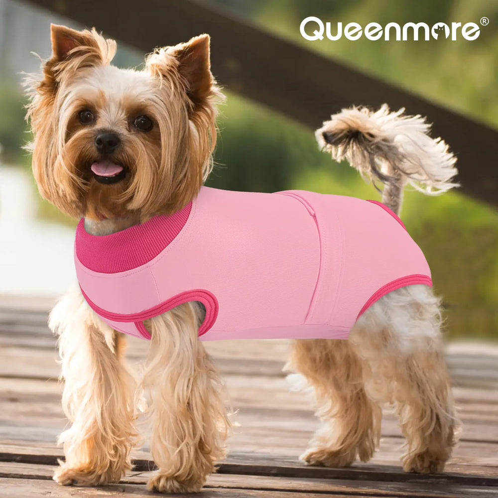 Queenmore dog recovery suit is machine washable for easy care