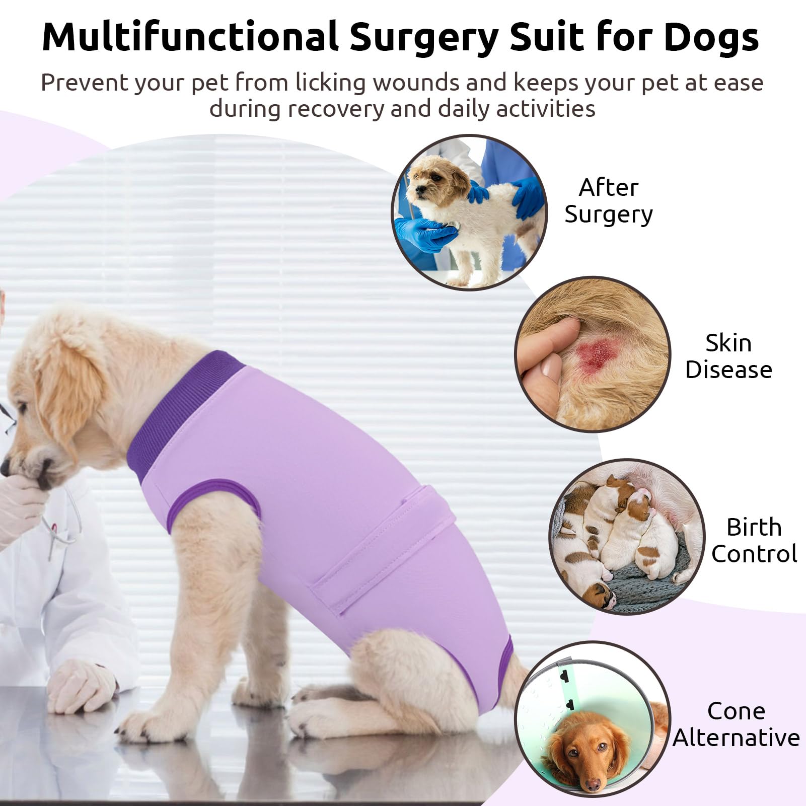 Queenmore recovery suit tail opening enables female dogs to potty without removal.