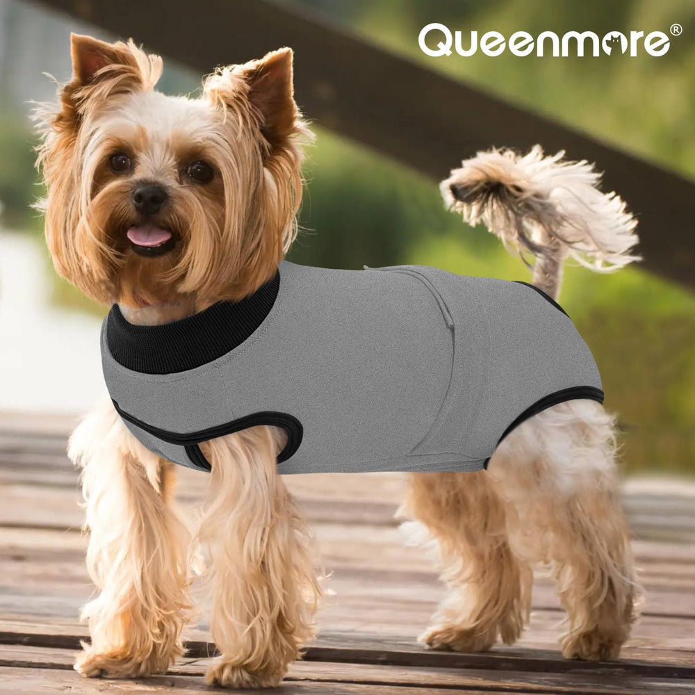 Queenmore recovery-suit-tail-opening-urination-ease enables dogs to pee without removing the suit.