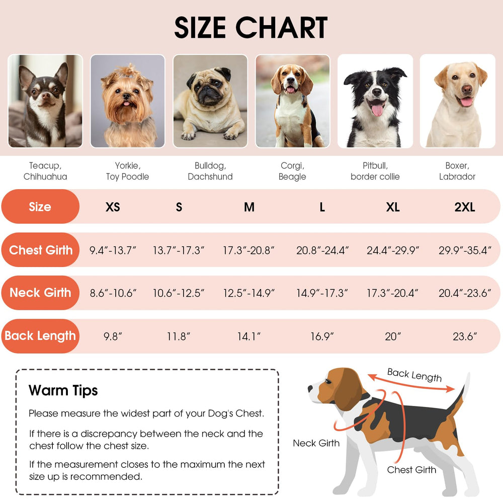 Queenmore reflective reversible dog coat enhances visibility during low-light evening strolls.