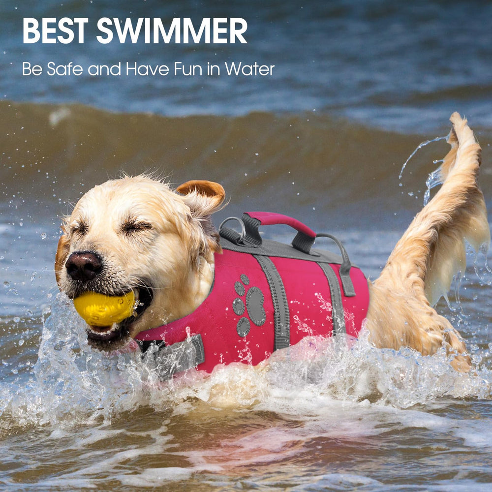 Queenmore reflective straps night-visibility feature aids spotting pets during dusk sessions.