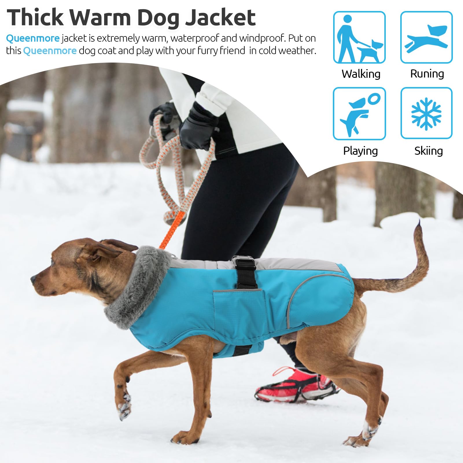 Queenmore reflective-straps winter-coat increases visibility for evening walks.
