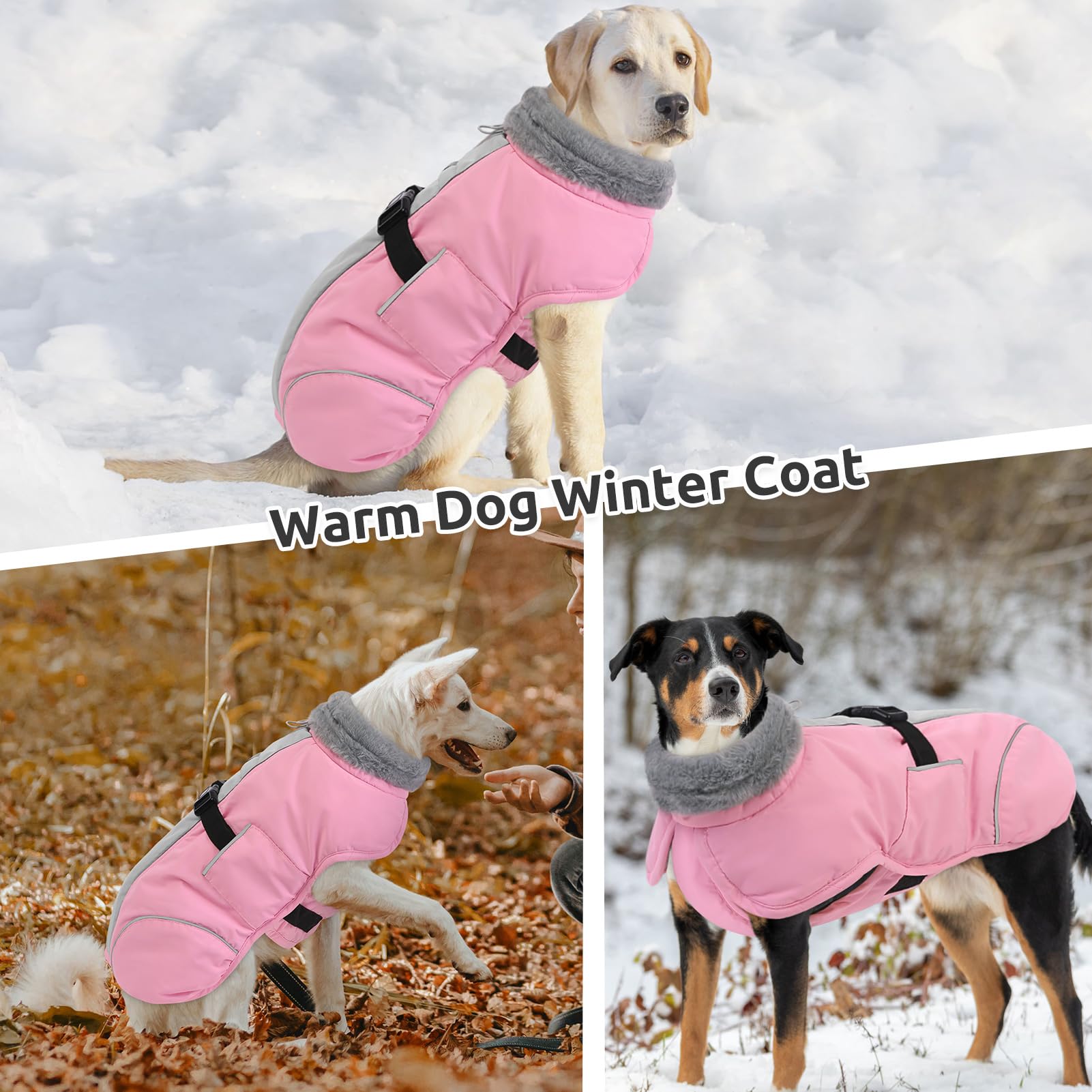 Queenmore size chart helps find the right fit for your dog.