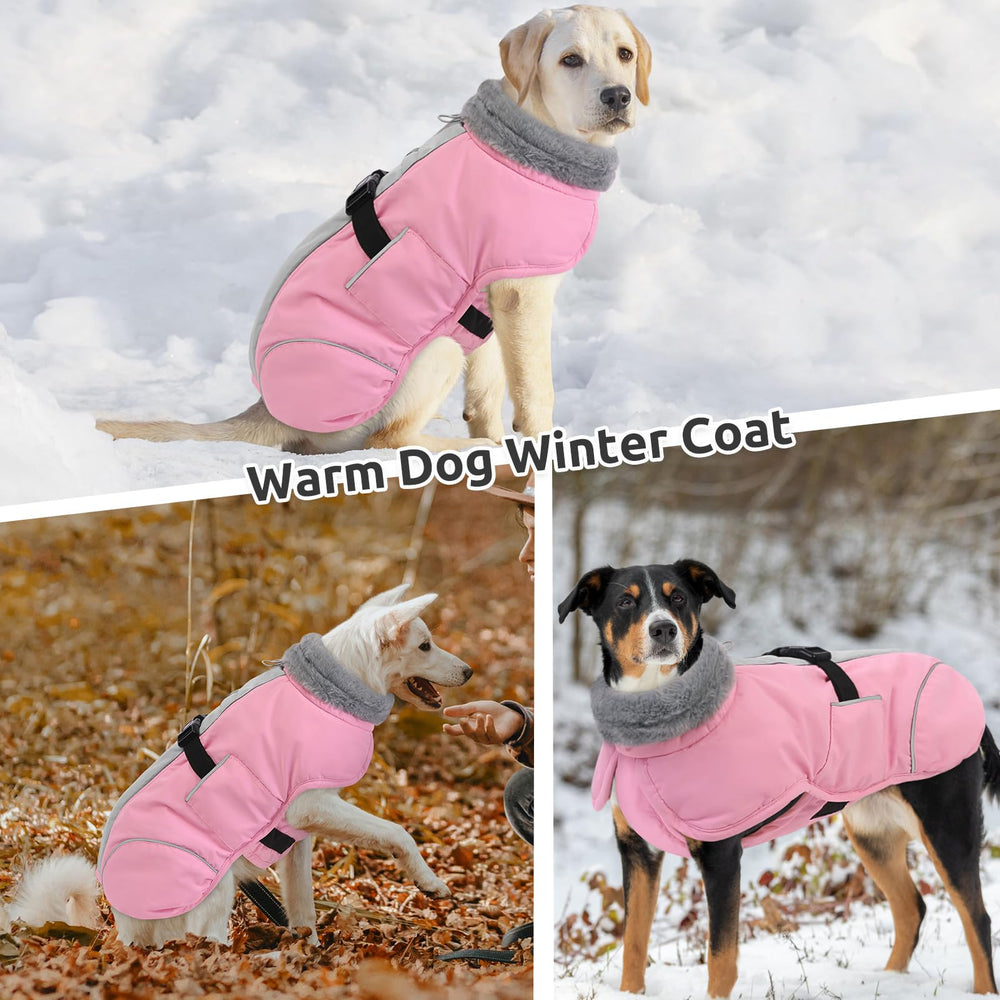 Queenmore size chart helps find the right fit for your dog.