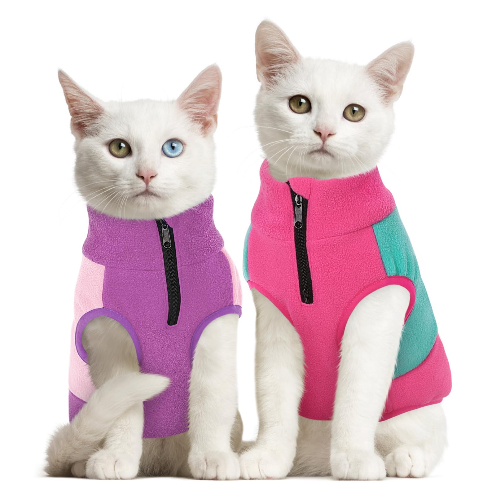 Queenmore size chart helps select the right fit for dogs and cats.