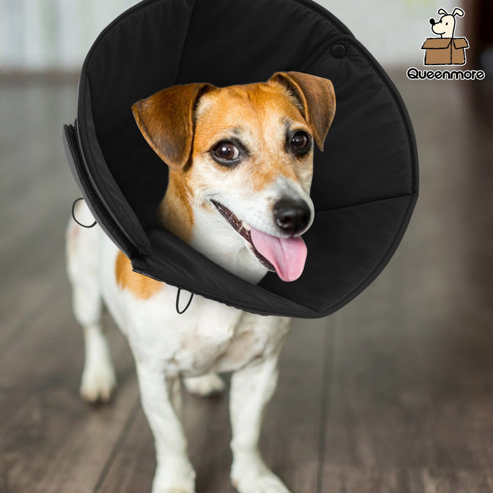 Queenmore size-guide cone helps choose the right fit.