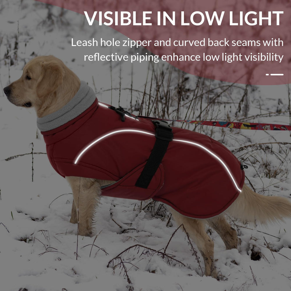 Queenmore red winter coat with adjustable sizing for multiple breeds