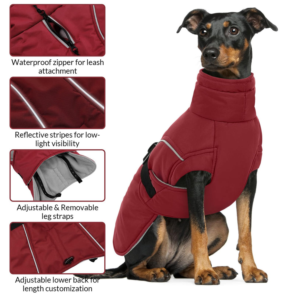 Queenmore red dog coat showing leash hole for easy outdoor attachment