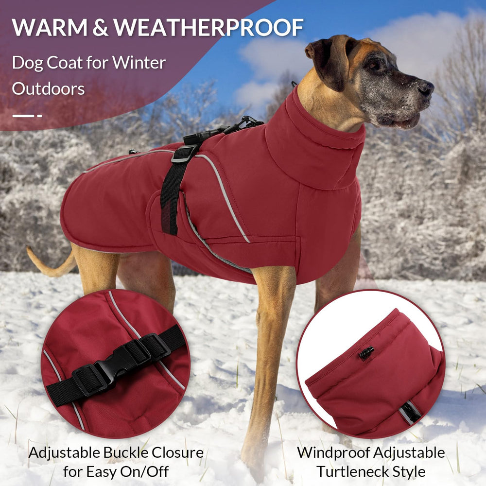 Queenmore small dog coat with reflective strips for night visibility