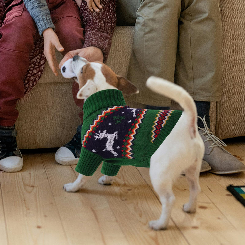 Queenmore small-dog knitted sweater provides a cozy, snug fit for chihuahuas and shih-tzus.