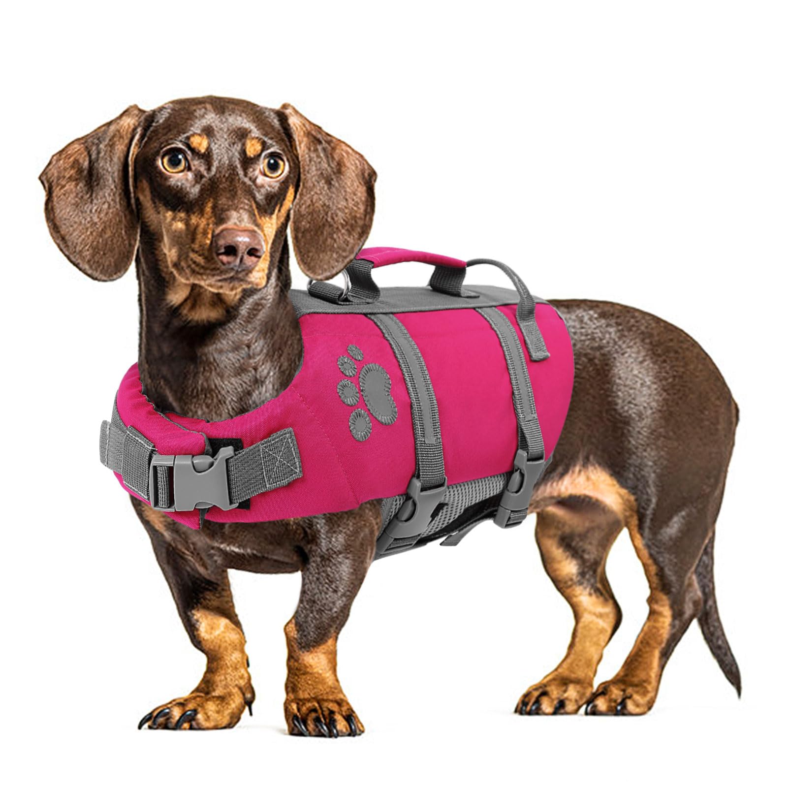 Queenmore small dog life jacket front view, boosting visibility and buoyant support during beach outings.