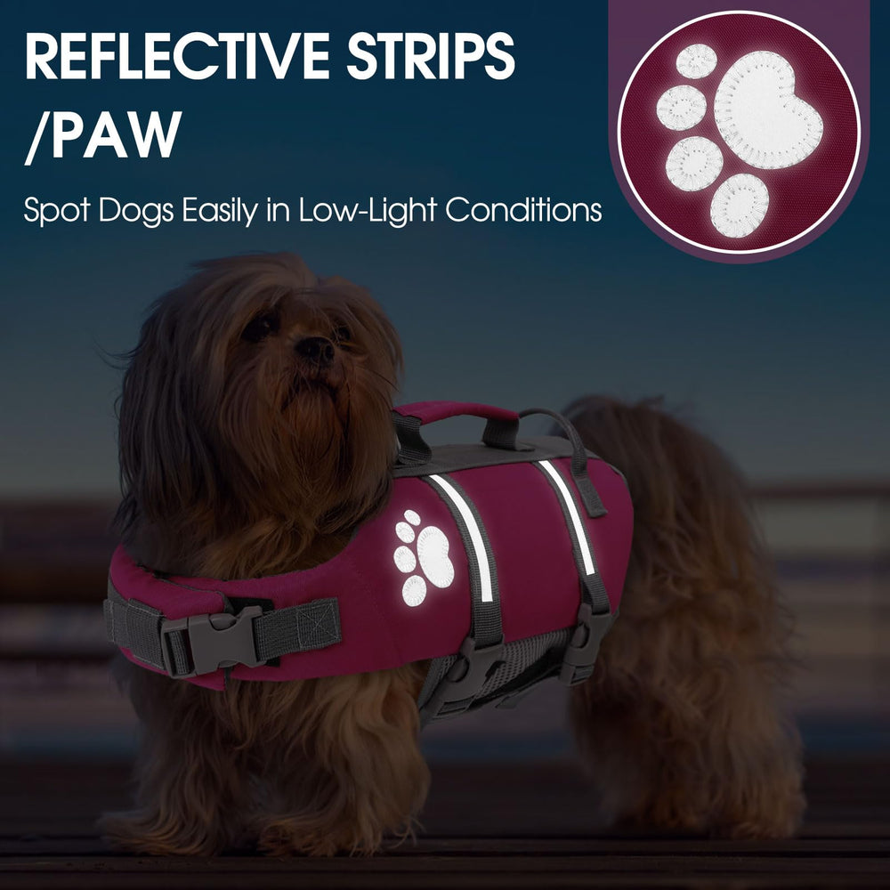 Queenmore small dog life vest swimming in water showcases high flotation and safety during splashes.