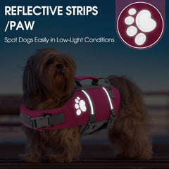 Queenmore small dog life vest swimming in water showcases high flotation and safety during splashes.