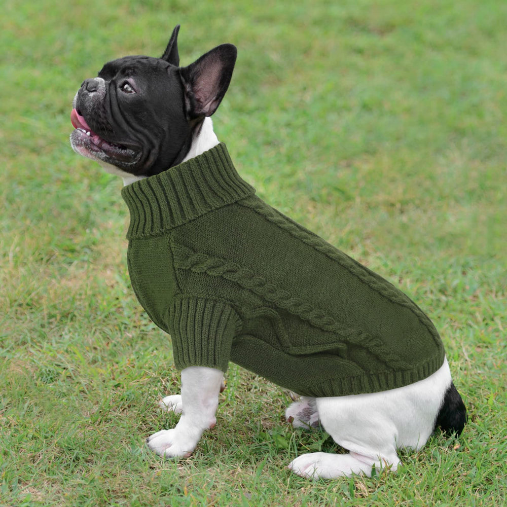 Queenmore pink knit on a puppy for cute winter style