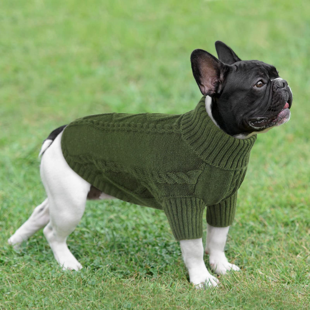Queenmore blueish-grey sweater worn by a small dog during a stroll