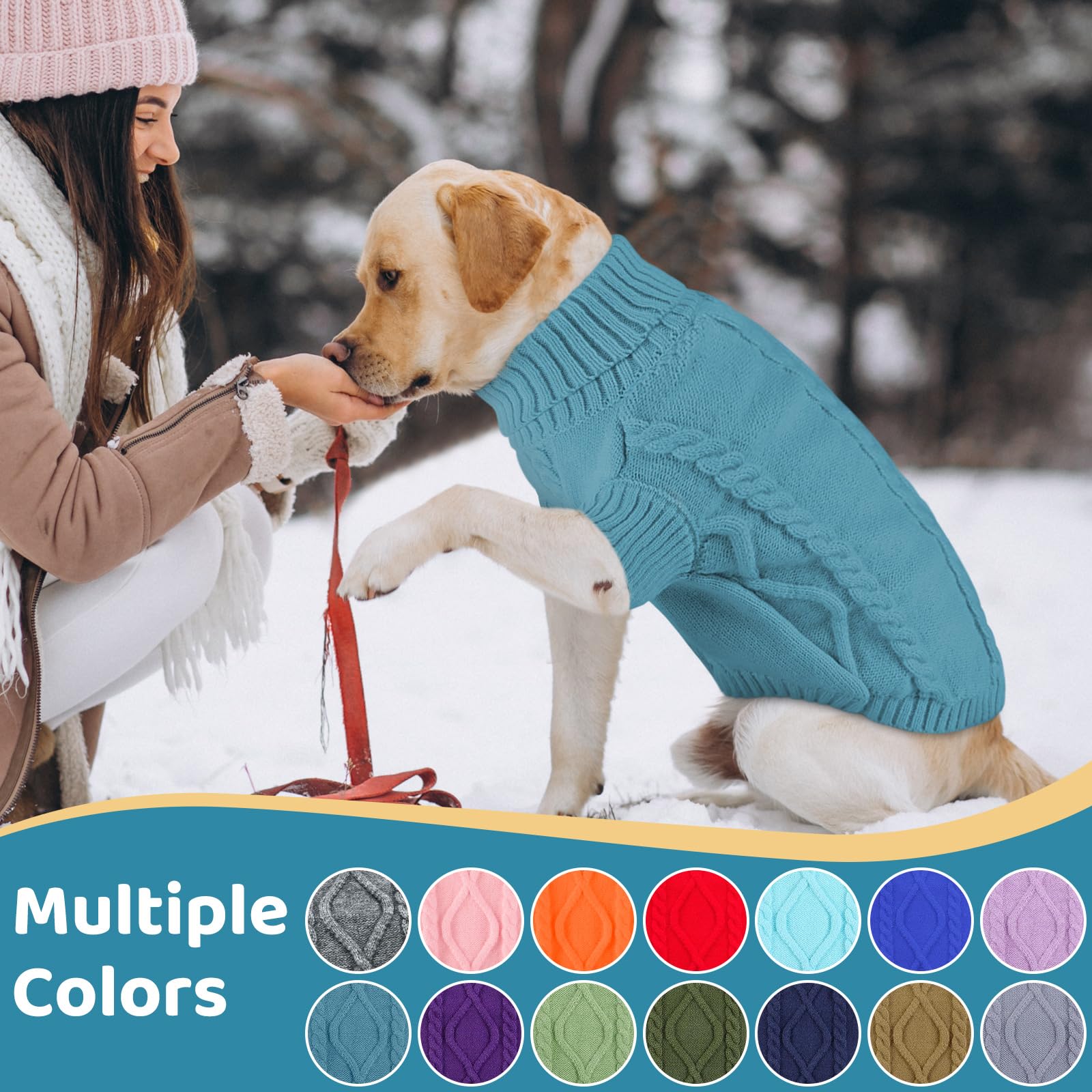 Queenmore bulldog-pug wear showcases cozy warmth during chilly walks.