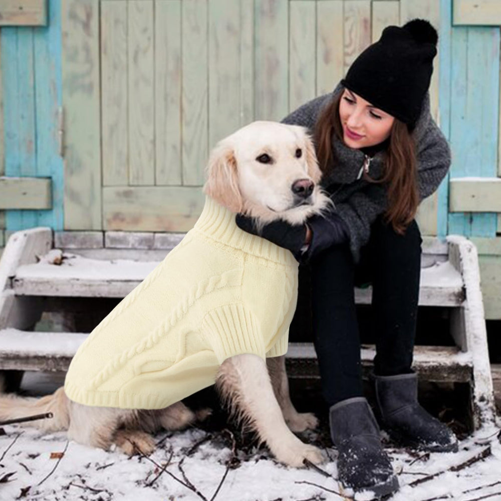 Queenmore small dog pullover sweater white belly-wrap emphasizes full coverage for tiny breeds