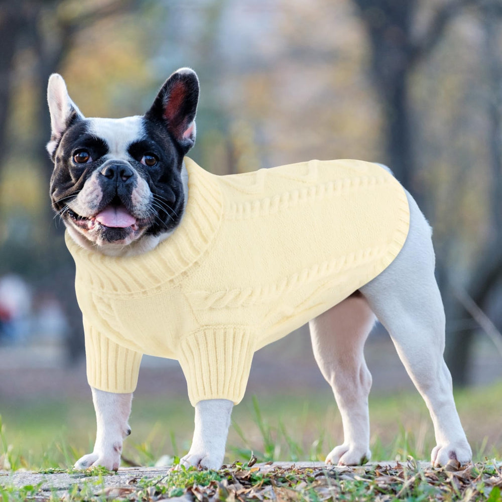 Queenmore small dog pullover sweater white on-dog closeup reveals easy layering for cold days