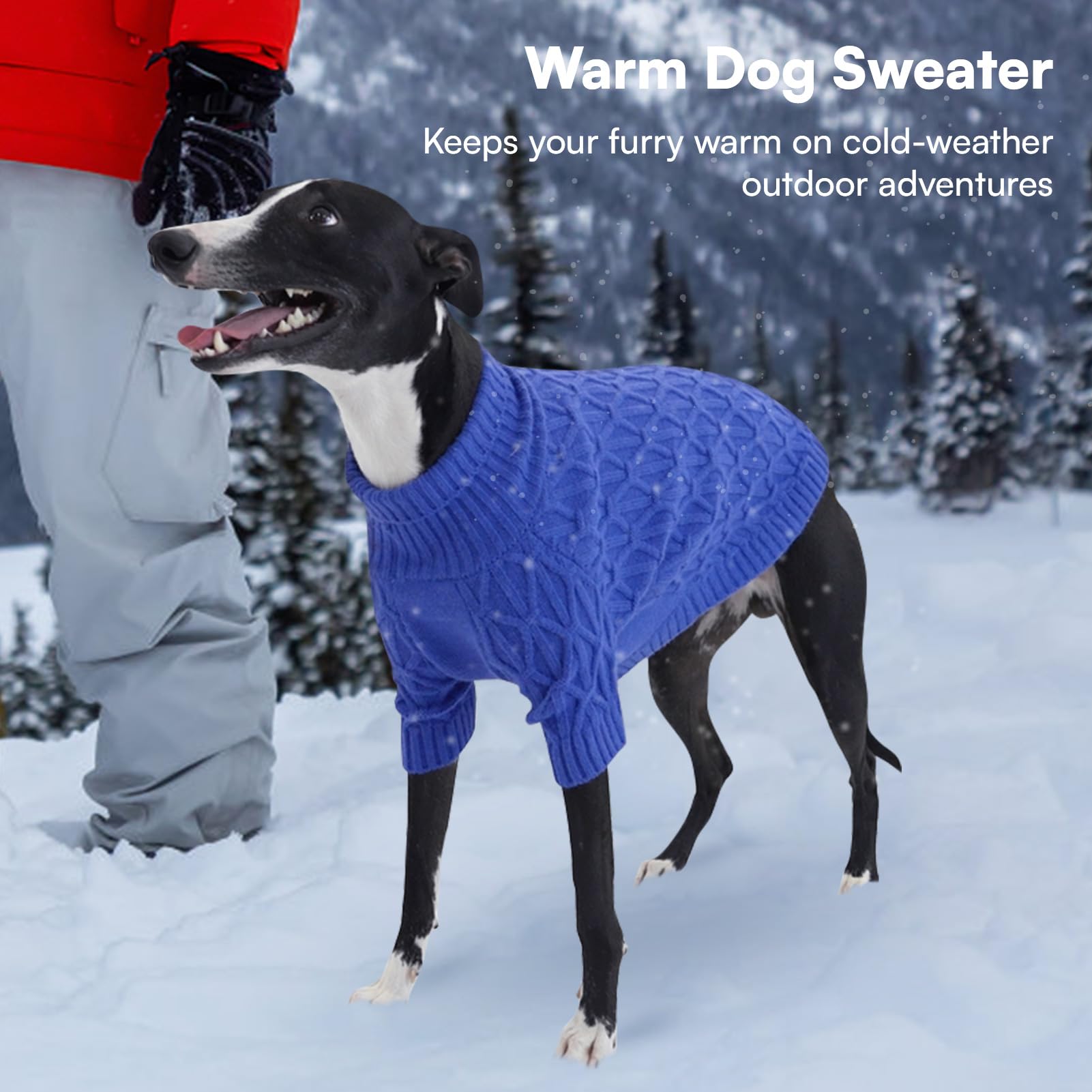 Queenmore small dog sweater all-sizes XS to 2XL for versatile fit