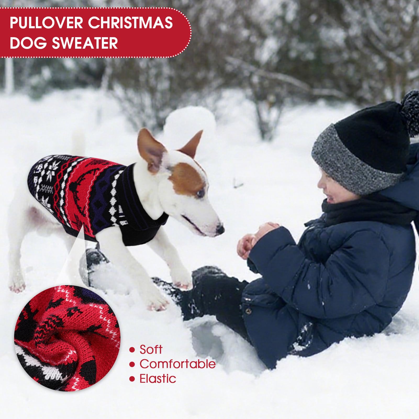 Queenmore small-dog sweater available in five sizes fits Yorkshire Terriers to Beagles